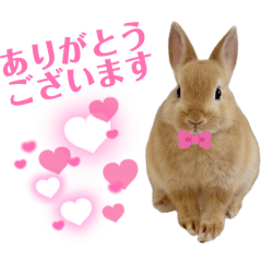 MAIMAI_20260614151314
