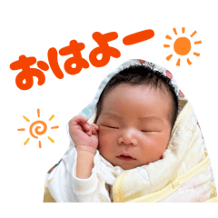 NoriNori_20260614151357