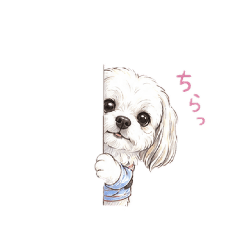 kou_20260614163449