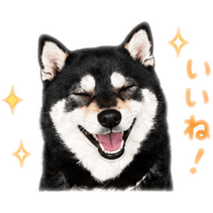 Miyu_20260614165838