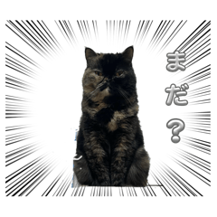 okona_20260614165656