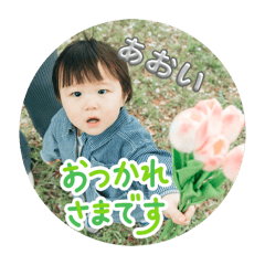 Aoi_20260614172507