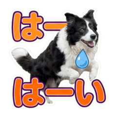 masahiko_20260614172547