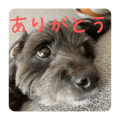 jun_20260614180325