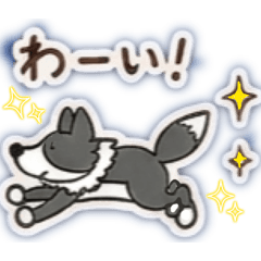 ボーダーコリー 日常