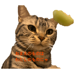 Shi_20260614185322