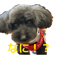 masa_20260614185004