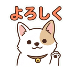 mayu_20260614191412