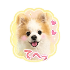 MONAKA_20260613212320