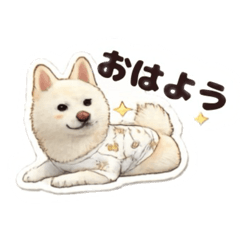 Tomo_20260613213902