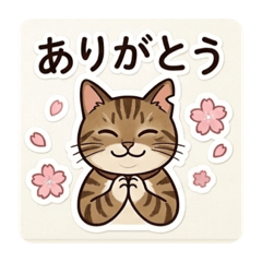 Pop_cats