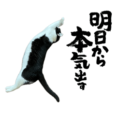 kaho_20260613231936