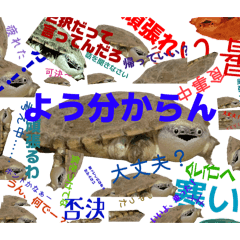k.koike_20260614205616