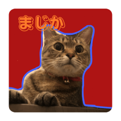 miyuki_20260614211132