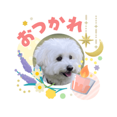 yomo_20260614213612