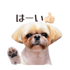 YY0716