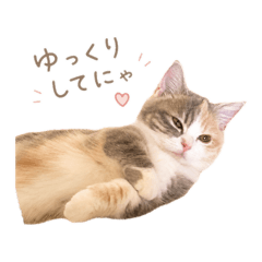 kawaiinecochan^^