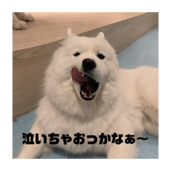 smyd