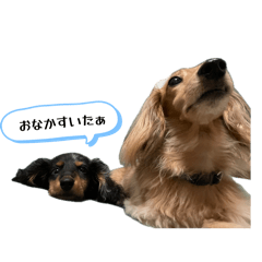 hana_20260614224156