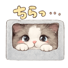 O_sayu_20260614064156