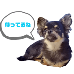 API_20260614071938