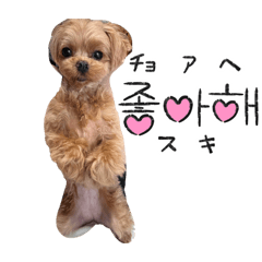rateshuu