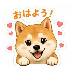 rion_20260614224648