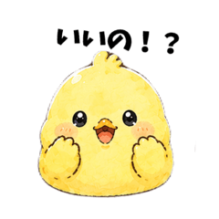 haachi_20260614224628