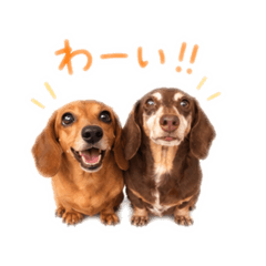 Saki_20260614224259