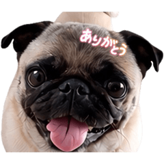 RinRin Rokoko_20260614225040