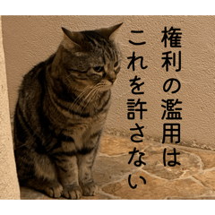 tmu_law_20260614230208