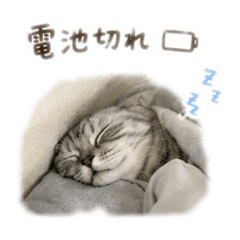 tsukuyomo_20260614230322