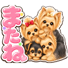 Yozora_20260614230752