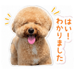 TK_20260614235512