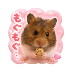 s__chan_20260615003844