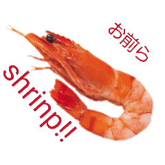 shrinp_20260615073930