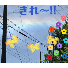 Aoi_20260614202922