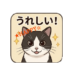 maimai_20260615090558