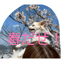 omoti_20260615093846