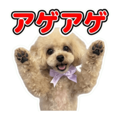 HIRO_20260615100315