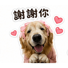 Happy_20260612214308