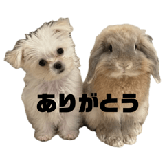itO_20260615103813