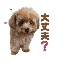 gon_20260615115524