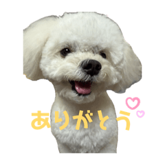 misan_20260615115813