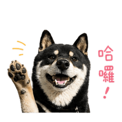 咪嚕咪嚕.