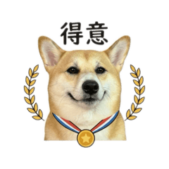 來自山上の阿姆