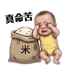 肥肥阿肥