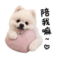 毛茸茸cooper 撒嬌篇