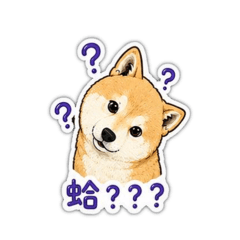 球球柴