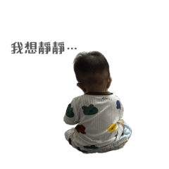 我們的寶^^他來了